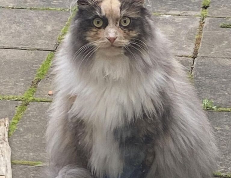 gaming tips tgarchirvetech