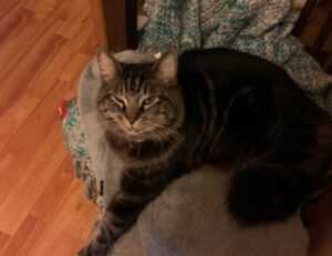 gaming trend tgarchirvetech