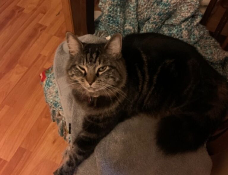 gaming trend tgarchirvetech