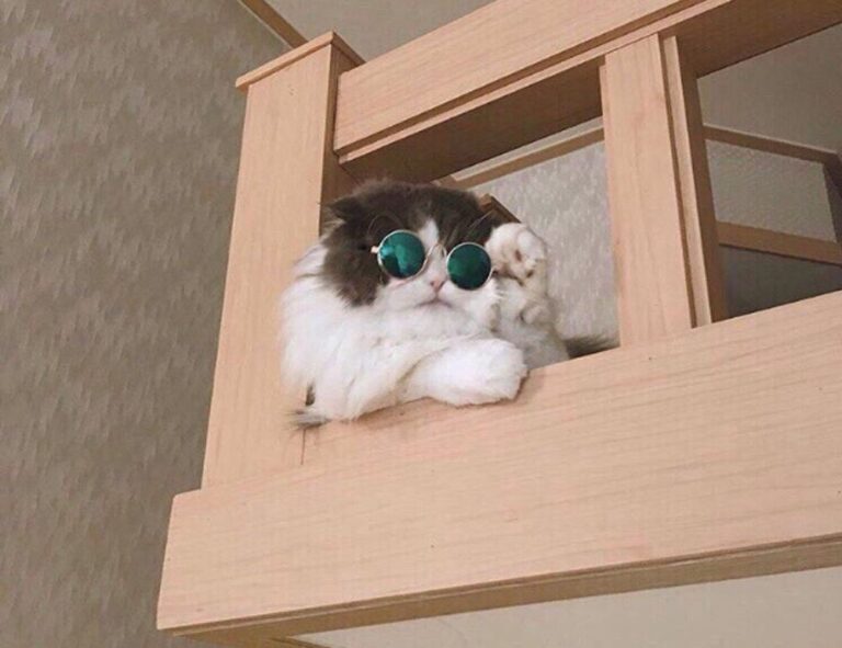 how to install freedoor2.4.6.8