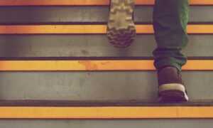 information about foxtpax software