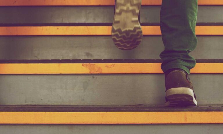 information about foxtpax software