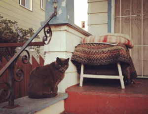 software error rcsdassk