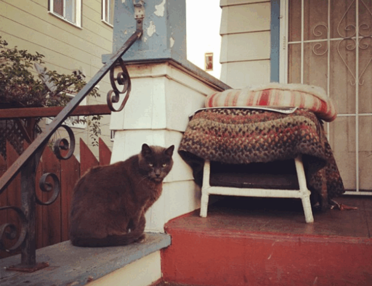 software error rcsdassk