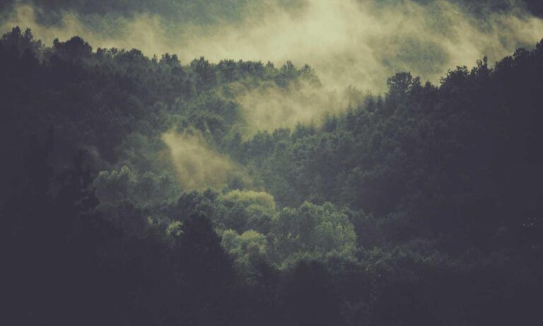 what is interesting about beevitius islands