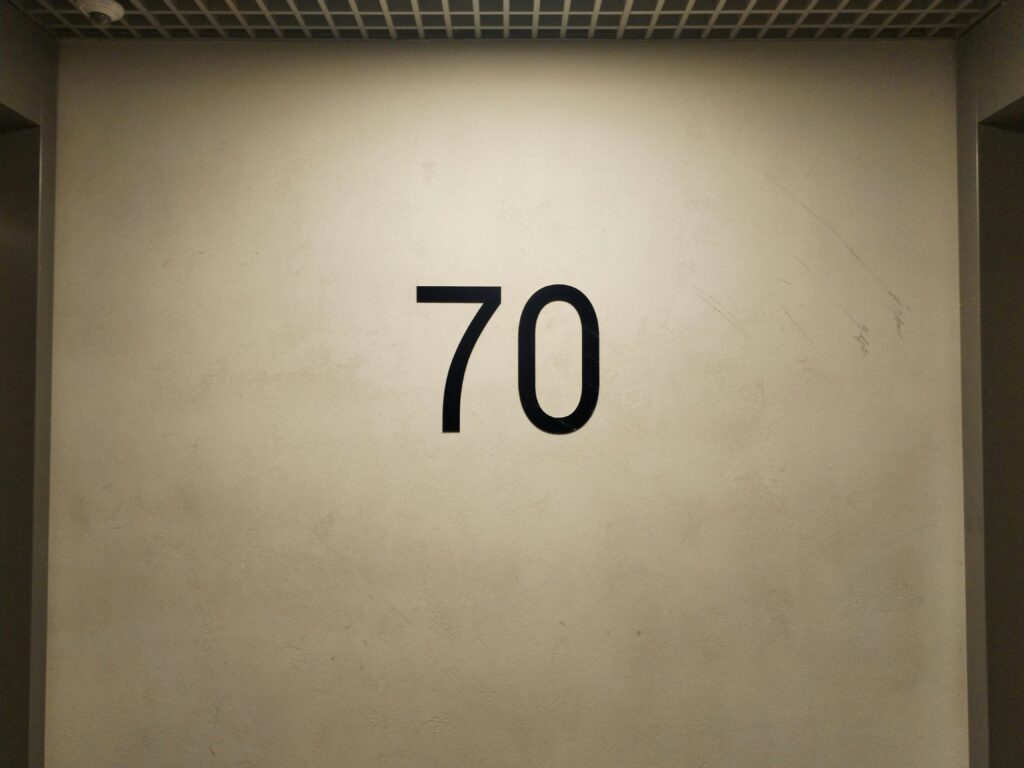 vivid2201-limitations