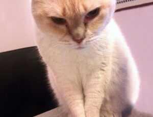 tech news digitalrgsorg