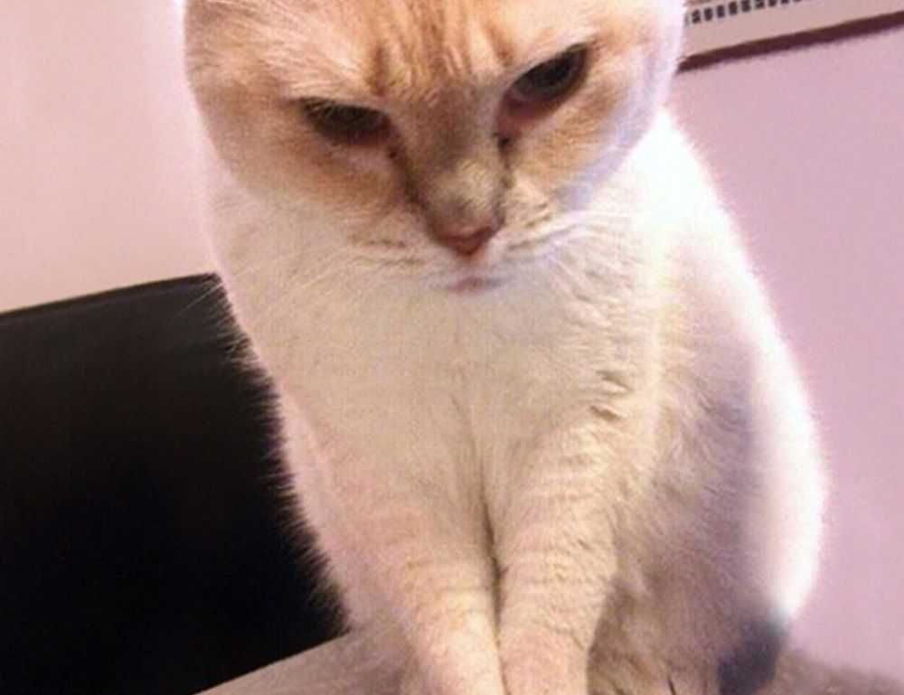 tech news digitalrgsorg