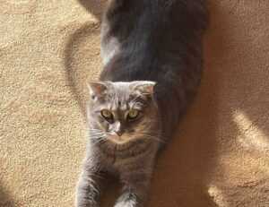 tech updates digitalrgsorg