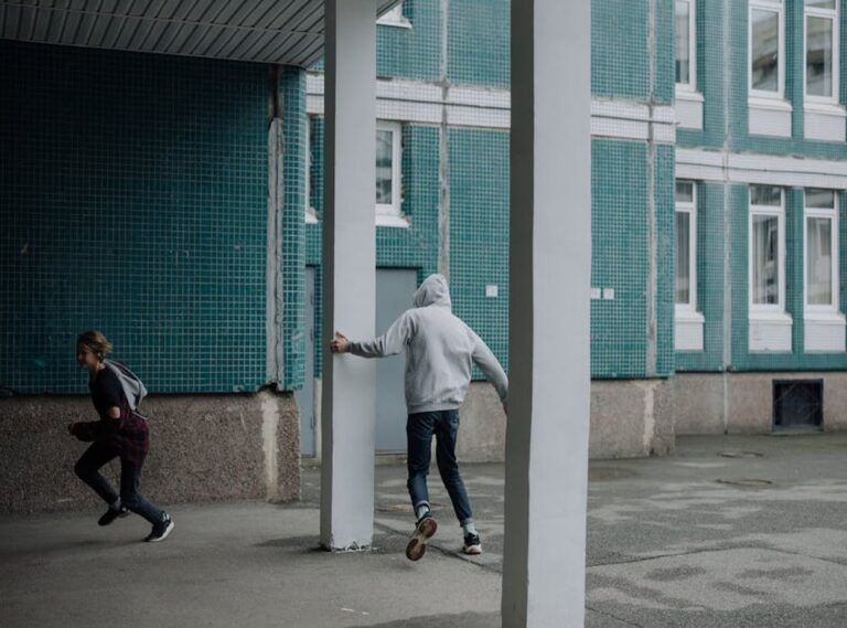 Can Genrodot Game Run on Pc