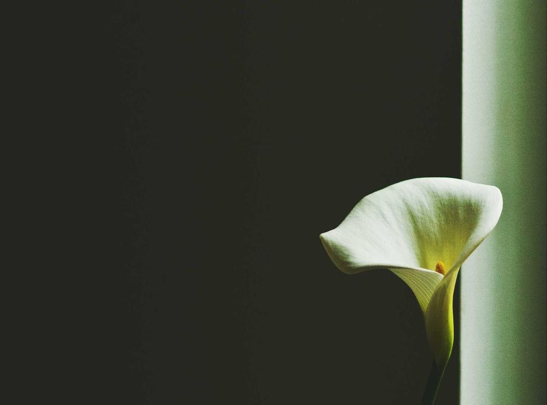 Putting 13,000 UF into Context: Real Estate and Investments