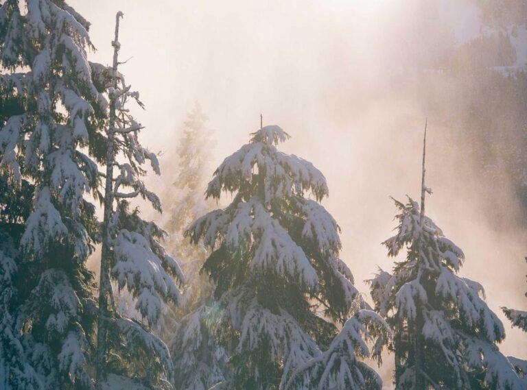 arsenal wfc - aston villa wfc tijdlijn