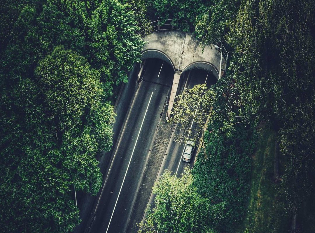 The Origin Story: How a Shocking Hoax Went Viral