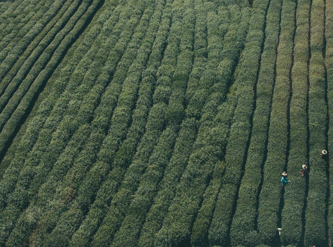 Breaking Down the Style: From Haircuts to Combat Boots