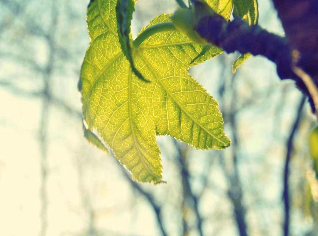 Primary Use Cases: Who Should Use FCG AIRA?