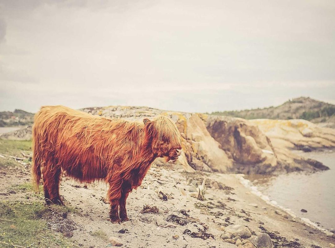 Common Mistakes When Starting with Ignaony (And How to Fix Them)