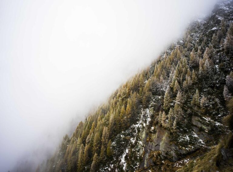 lyrics lefty sm x victor cibrian - no cambiolefty sm oficial