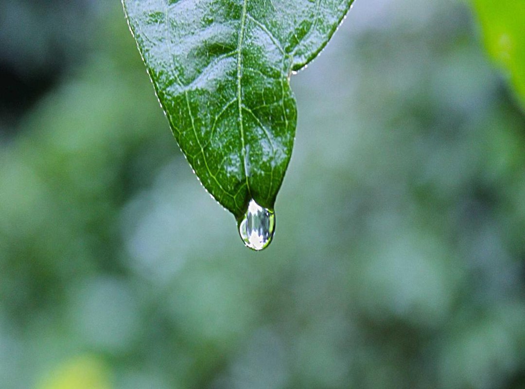 First Steps Inside: Navigating Your SkinAdmin Dashboard